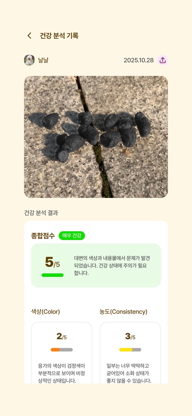 골드펫 건강관리 화면