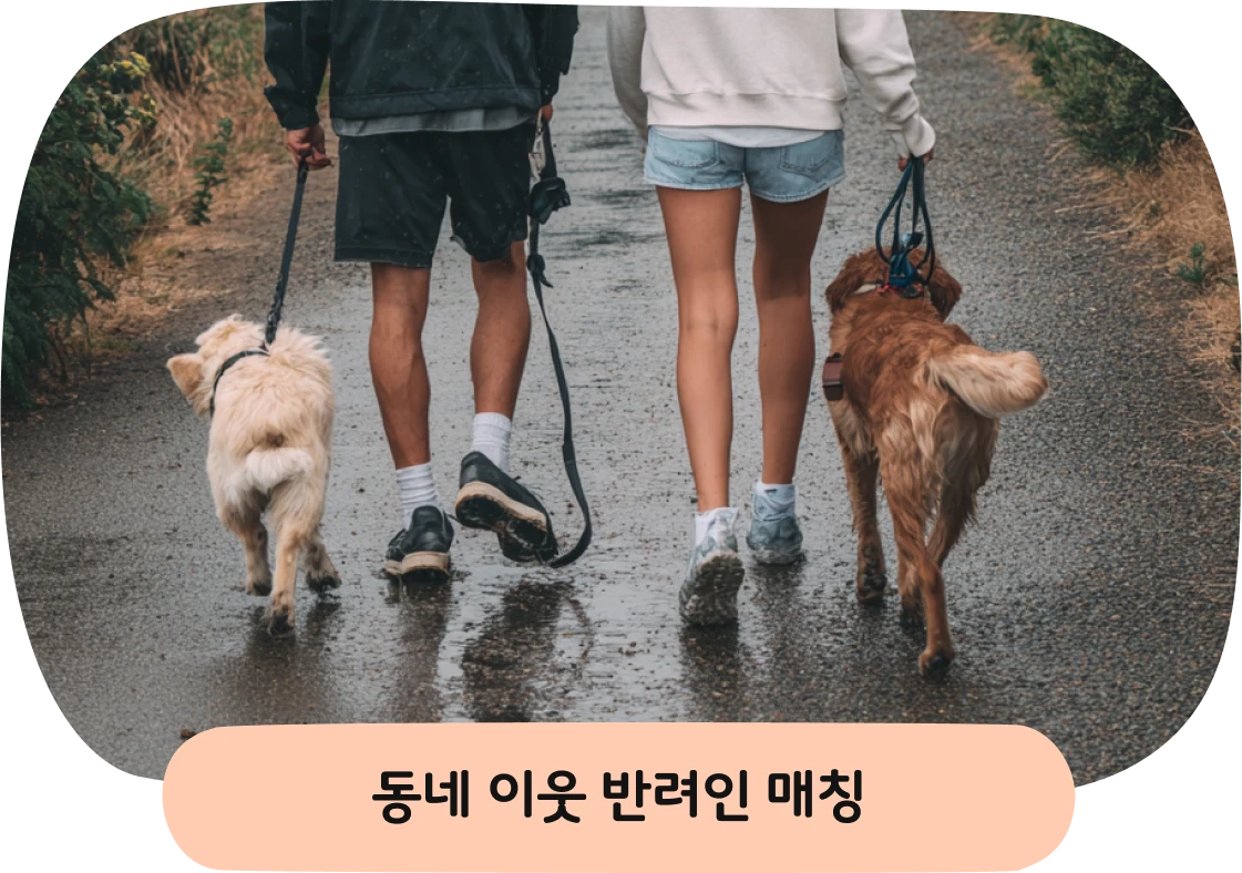 동네 이웃 반려인 매칭