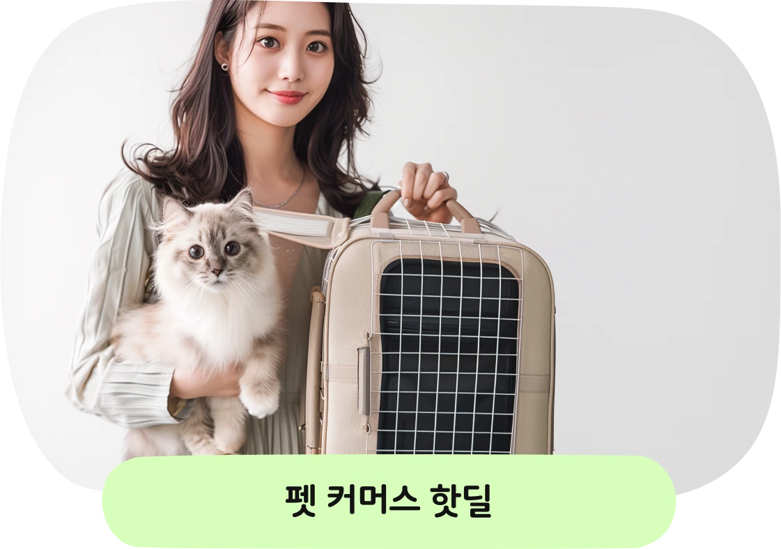 펫 커머스 핫딜